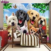boarder5 cover image for activities