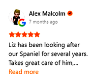 Alex Review
