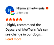 Niema Review
