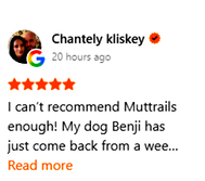 Chantely review