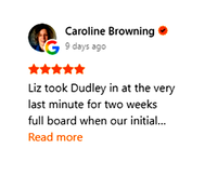 Caroline review screenshot