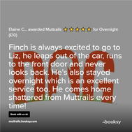 Elaine C review