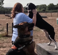 MutTrails team out playing with the dogs