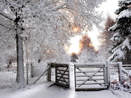 Winter walk at MutTrails