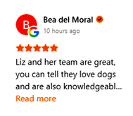 Bea Review
