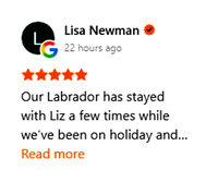 Lisa review screenshot