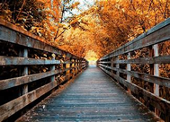 Autumn walk at MutTrails
