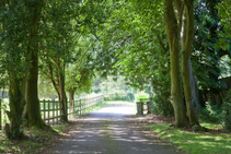 Lovely long path walks