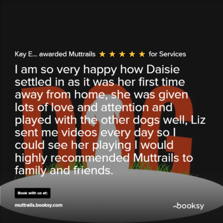 screen shot of kay review