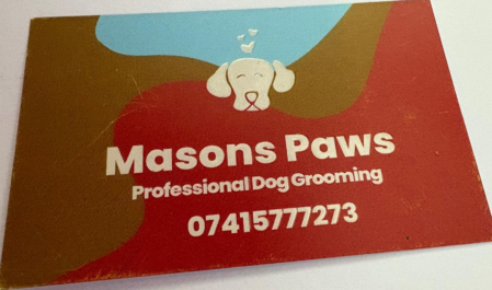 Masons Paws business card — professional dog grooming by Andrew (C&G Level 3)