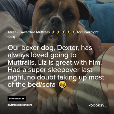 tara screenshot review