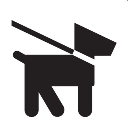 walk icon