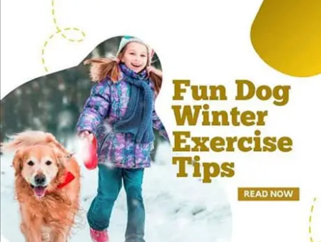 tips to keep them active in winter months